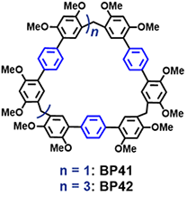 BP41-42